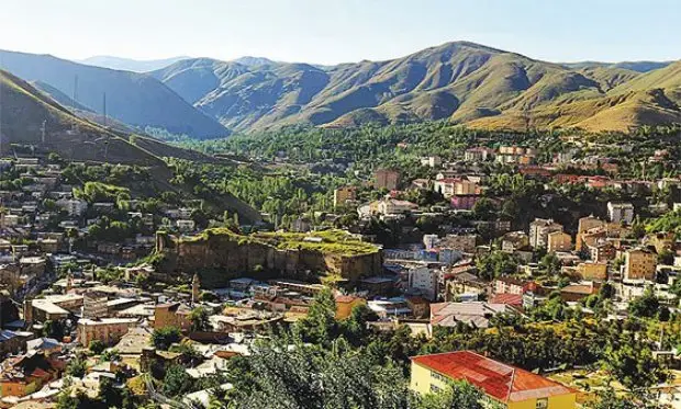 Bitlis Dini Düğün